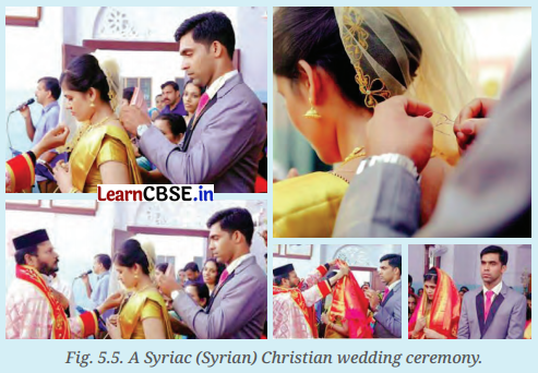 India, a Home to Many Class 7 Questions and Answers Social Science Part 2 Chapter 5 2