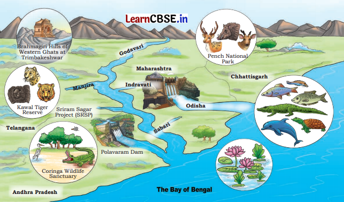 Journey of a River Class 5 Question Answer EVS Chapter 2 1