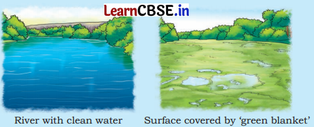 Journey of a River Class 5 Question Answer EVS Chapter 2 2