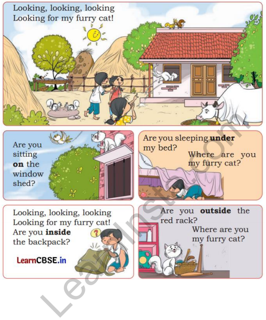 Joyful Mathematics Class 1 Solutions Chapter 1 Finding the Furry Cat!&nbsp;(Pre-number Concepts) 1