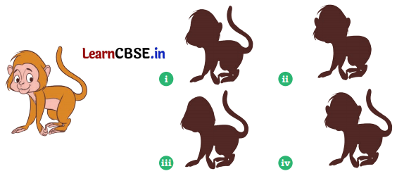 Joyful Mathematics Class 1 Solutions Chapter 13 So Many Toys (Data Handling) 30