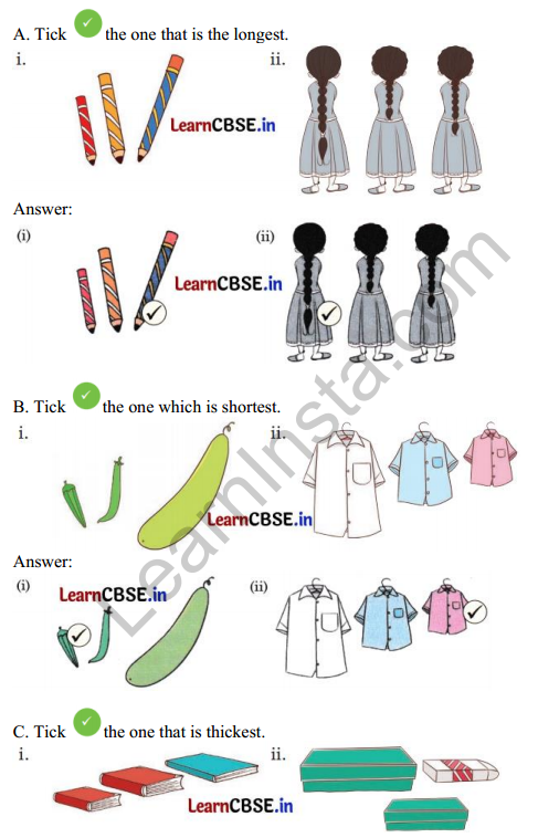 Joyful Mathematics Class 1 Solutions Chapter 7 Lina’s Family (Measurement) 2