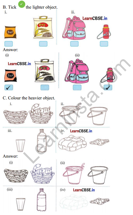 Joyful Mathematics Class 1 Solutions Chapter 7 Lina’s Family (Measurement) 8