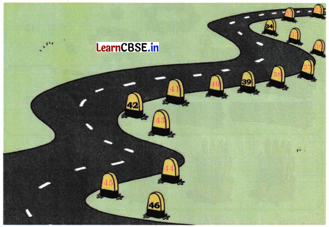 Joyful Mathematics Class 1 Solutions Chapter 8 Fun with Numbers (Numbers 21 to 99) 10