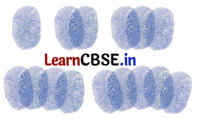 Joyful Mathematics Class 1 Solutions Chapter 9 Utsav (Patterns) 4