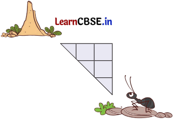 Joyful Mathematics Class 2 NCERT Solutions Chapter 11 Data Handling 29