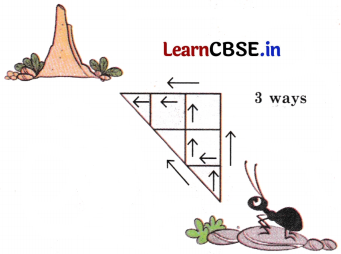 Joyful Mathematics Class 2 NCERT Solutions Chapter 11 Data Handling 30