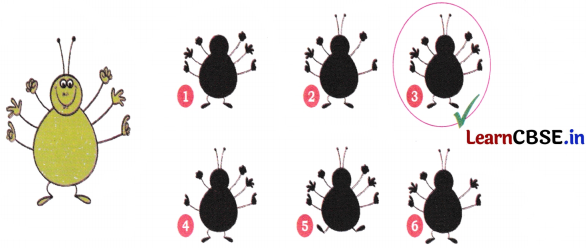 Joyful Mathematics Class 2 NCERT Solutions Chapter 11 Data Handling 34