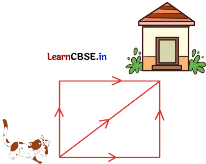 Joyful Mathematics Class 2 NCERT Solutions Chapter 11 Data Handling 35