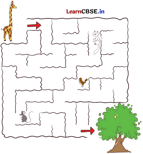 Joyful Mathematics Class 2 NCERT Solutions Chapter 11 Data Handling 41
