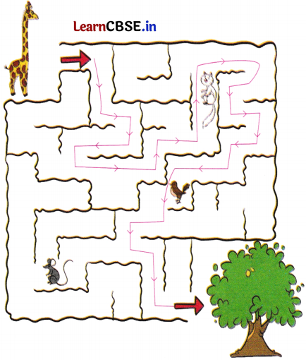 Joyful Mathematics Class 2 NCERT Solutions Chapter 11 Data Handling 42