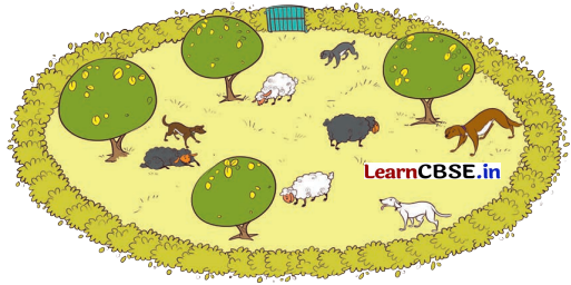 Joyful Mathematics Class 2 NCERT Solutions Chapter 11 Data Handling 47