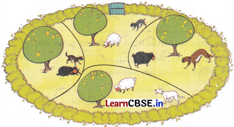 Joyful Mathematics Class 2 NCERT Solutions Chapter 11 Data Handling 48