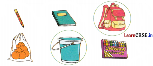 Joyful Mathematics Class 2 NCERT Solutions Chapter 7 Rani’s Gift (Measurement) 10