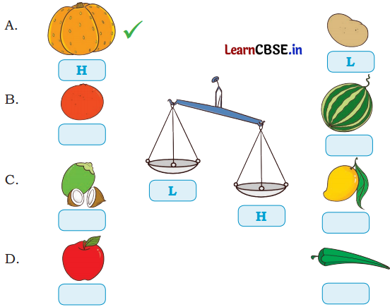 Joyful Mathematics Class 2 NCERT Solutions Chapter 7 Rani’s Gift (Measurement) 14