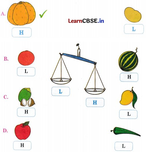 Joyful Mathematics Class 2 NCERT Solutions Chapter 7 Rani’s Gift (Measurement) 15