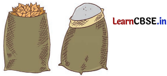 Joyful Mathematics Class 2 NCERT Solutions Chapter 7 Rani’s Gift (Measurement) 16