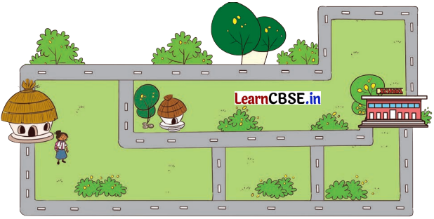 Joyful Mathematics Class 2 NCERT Solutions Chapter 7 Rani’s Gift (Measurement) 2