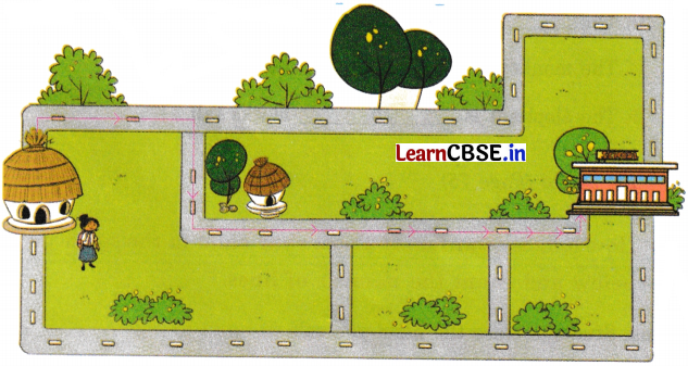 Joyful Mathematics Class 2 NCERT Solutions Chapter 7 Rani’s Gift (Measurement) 3