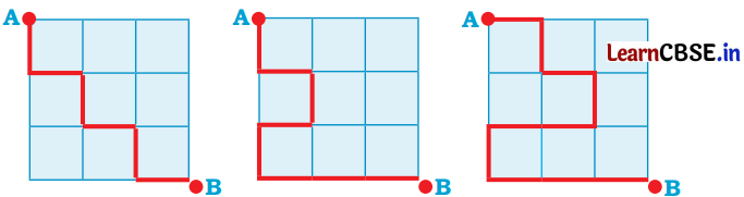 Joyful Mathematics Class 2 NCERT Solutions Chapter 7 Rani’s Gift (Measurement) 4