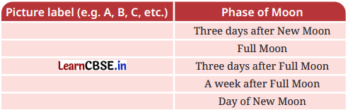 Keeping Time with the Skies Class 8 Questions and Answers Science Chapter 11 Q4.1