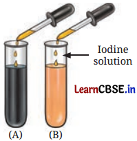 Life Processes in Animals Class 7 Questions and Answers Science Chapter 9 -3