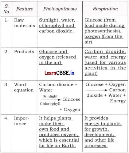 Life Processes in Plants Class 7 Questions and Answers Science Chapter 10 - 2