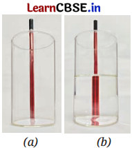 Light Mirrors and Lenses Class 8 Questions and Answers Science Chapter 10 Q12