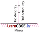 Light Mirrors and Lenses Class 8 Questions and Answers Science Chapter 10 Q2.1
