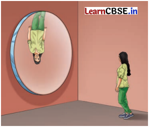 Light Mirrors and Lenses Class 8 Questions and Answers Science Chapter 10 Q7