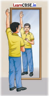 Light Shadows and Reflections Class 7 Questions and Answers Science Chapter 11 -12