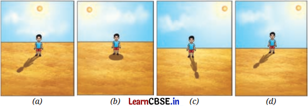 Light Shadows and Reflections Class 7 Questions and Answers Science Chapter 11 -2