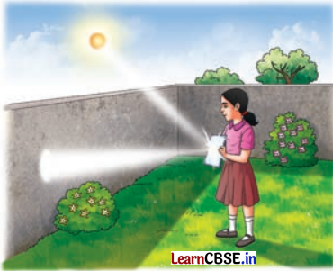 Light Shadows and Reflections Class 7 Questions and Answers Science Chapter 11 -9
