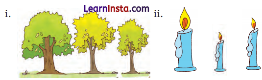 Lina’s Family Class 1 Question Answer Solutions Maths Chapter 7 15