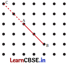 Lines and Angles Class 6 NCERT Solutions Ganita Prakash Maths Chapter 2 26