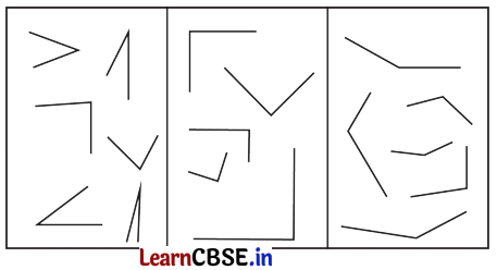 Lines and Angles Class 6 NCERT Solutions Ganita Prakash Maths Chapter 2 30