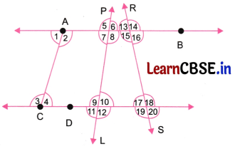 Lines and Angles Class 6 NCERT Solutions Ganita Prakash Maths Chapter 2 53