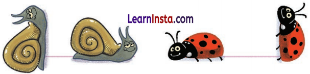 Lines and Angles Class 6 Solutions Question Answer 56