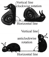 Lines and Angles Class 6 Solutions Question Answer 57