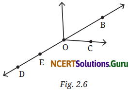 Lines and Angles Class 6 Solutions Question Answer Page 15 Q5