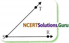 Lines and Angles Class 6 Solutions Question Answer Page 19 Q2