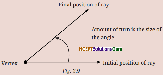 Lines and Angles Class 6 Solutions Question Answer Page 19 Q6