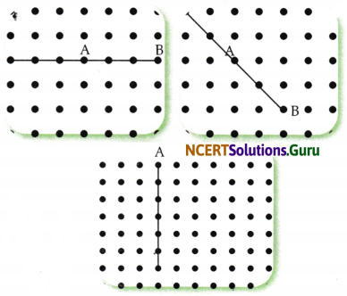 Lines and Angles Class 6 Solutions Question Answer Page 29 Q2.1