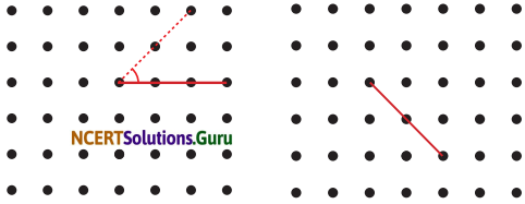 Lines and Angles Class 6 Solutions Question Answer Page 51 Q1