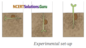 Living Creatures Exploring their Characteristics Class 6 Question Answer Science Chapter 10 2