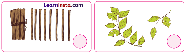 Making 10 Treat Class 1 Question Answer Solutions Maths Chapter 4 22