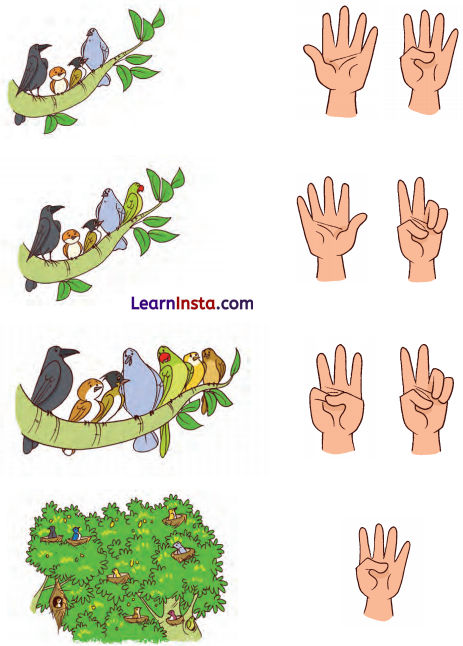 Mango Treat Class 1 Question Answer Solutions Maths Chapter 3 1