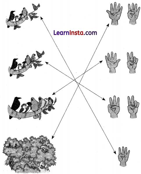 Mango Treat Class 1 Question Answer Solutions Maths Chapter 3 2