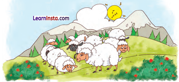 Mango Treat Class 1 Question Answer Solutions Maths Chapter 3 37