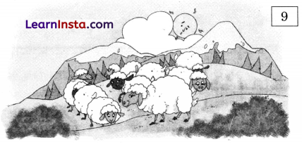 Mango Treat Class 1 Question Answer Solutions Maths Chapter 3 45